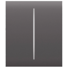 Кнопка центральна